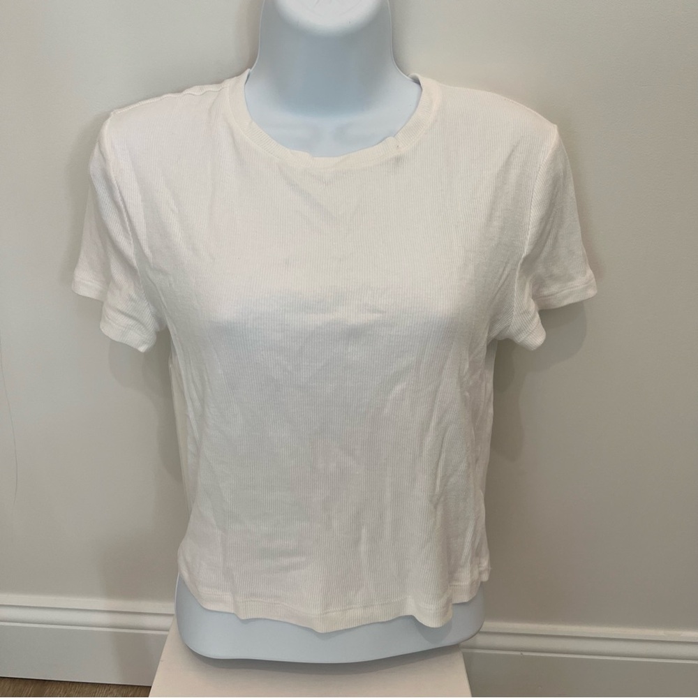 Express Shirt White Fitted Crop Top with Crew Neck and Short Sleeves